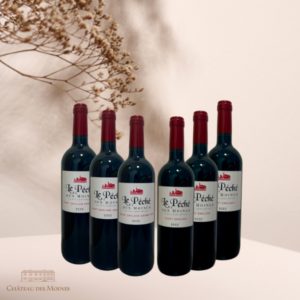 Coffret Saint Emilion